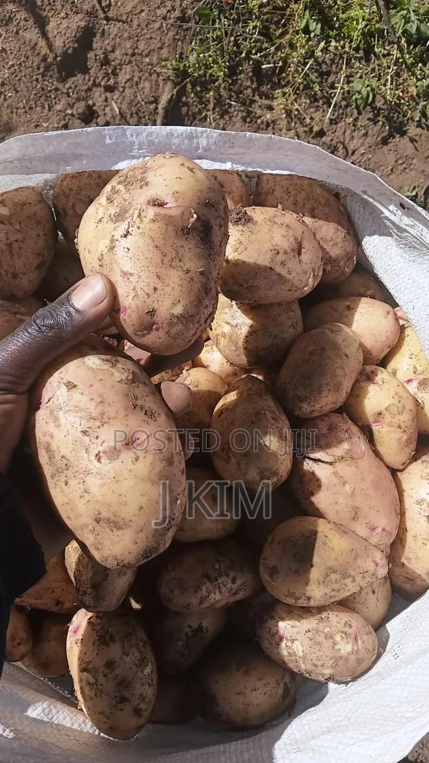 Irish Potatoes - thumbnail 4