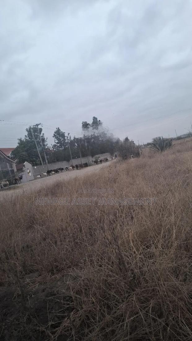 4 Contiguous Plots for Sale at Joska Bridgan
