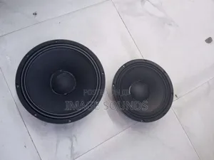 Derwel Speaker 12inch and 10inch