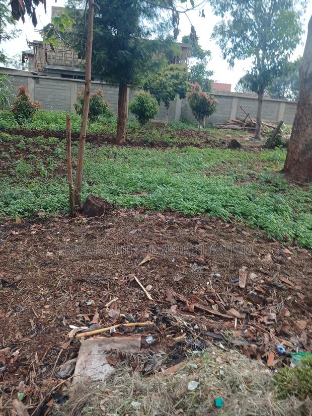 1/4land for Lease - main view