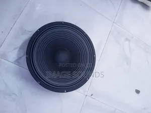 Mid Speaker 170mm (500 Watts)