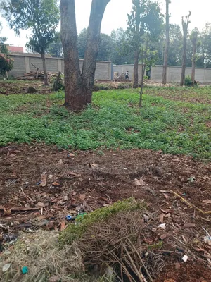 1/4land for Lease in Uthiru Waiyaki Way