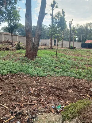 1/4land for Lease in Uthiru Waiyaki Way