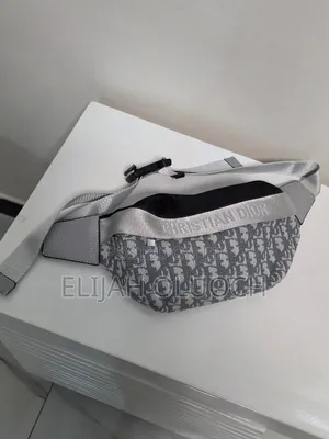 Dior Waist/Belt/Crossbody Bag