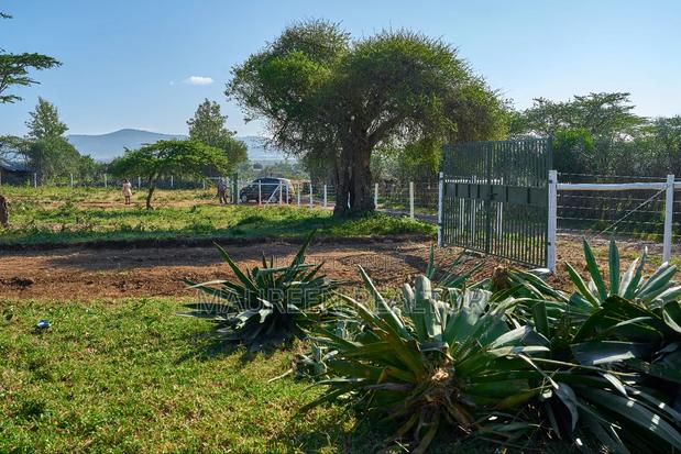 Prime Plots 50/100 Maiyan Nanyuki - thumbnail 8