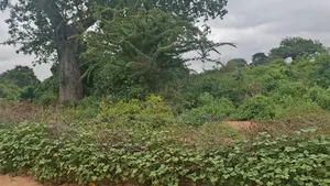10 Acre Land for Sale in Machinery - Kambu.