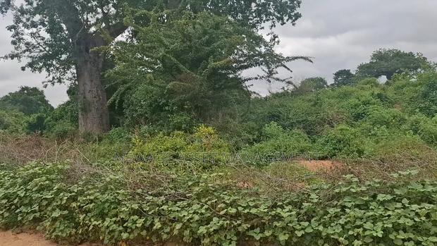 10 Acre Land for Sale in Machinery - Kambu. - thumbnail 3