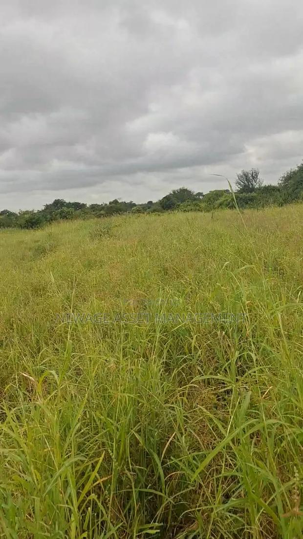 10 Acre Land for Sale in Machinery - Kambu. - thumbnail 8