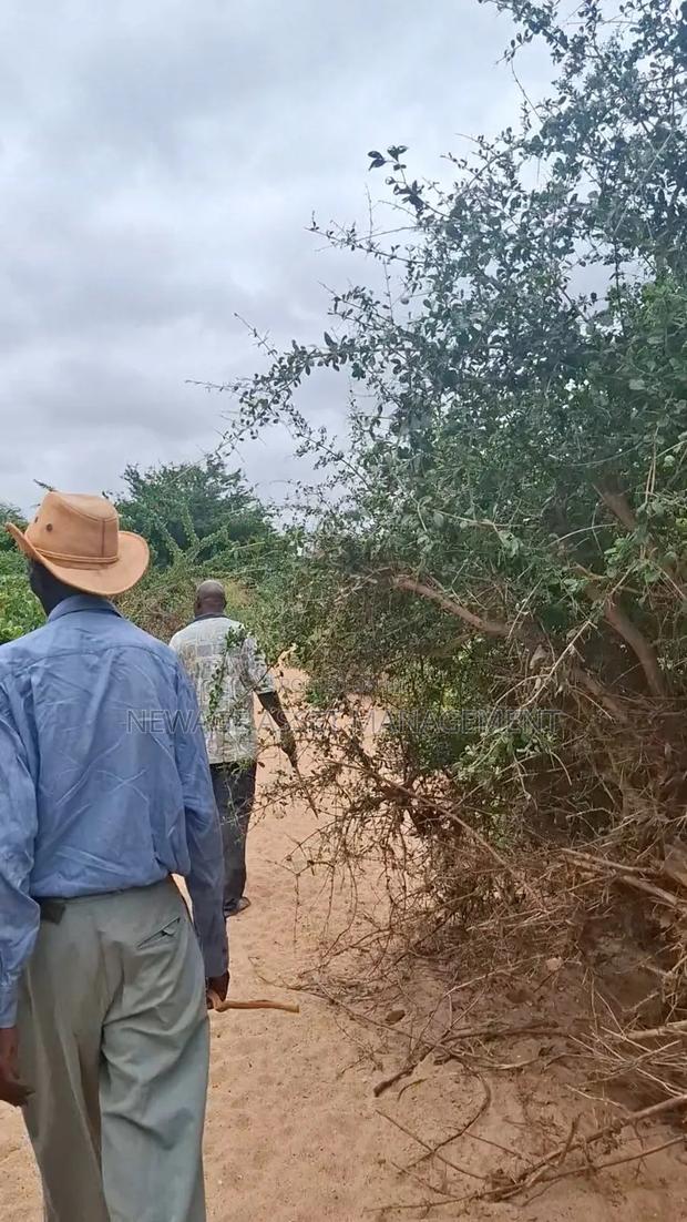 10 Acre Land for Sale in Machinery - Kambu. - thumbnail 9