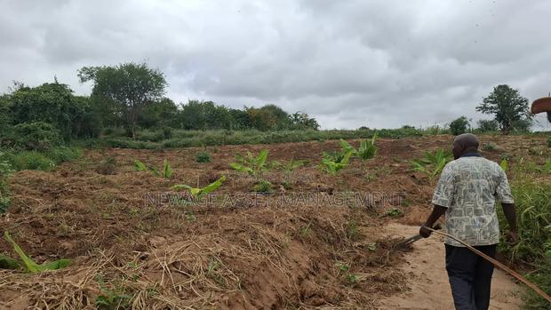 10 Acre Land for Sale in Machinery - Kambu. - thumbnail 13