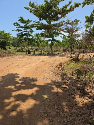 Beach Plots - Diani Galu