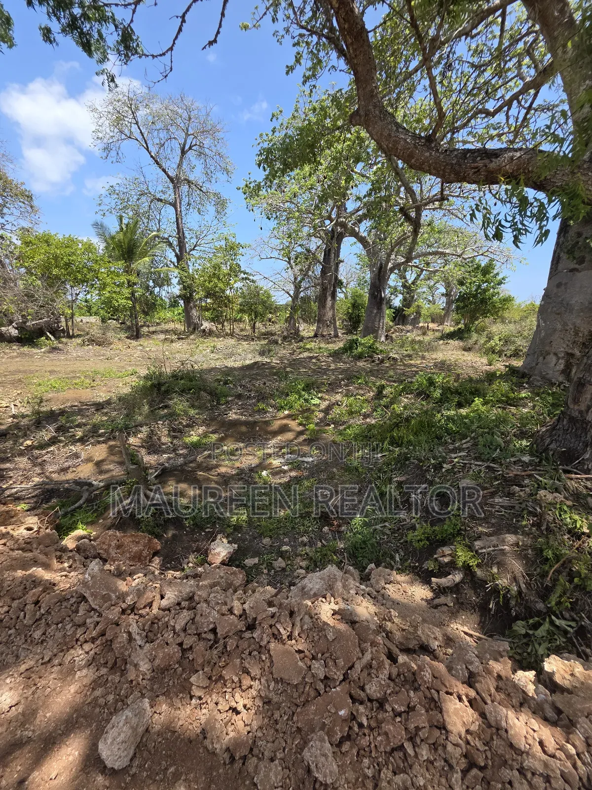 Beach Plots - Diani Galu