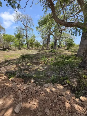 Beach Plots - Diani Galu