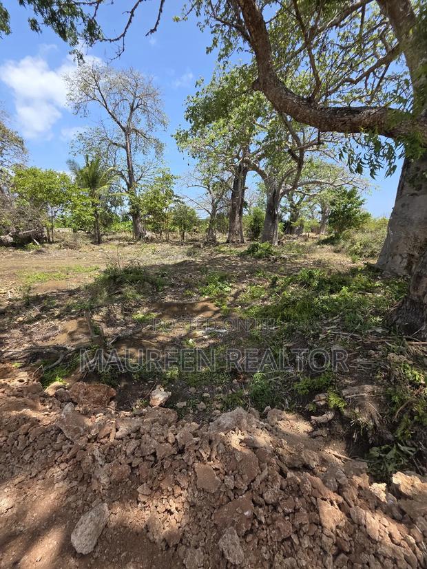 Beach Plots - Diani Galu - thumbnail 4