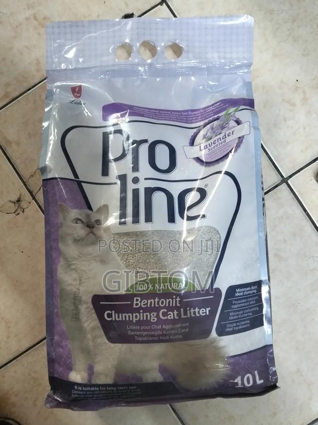 10 L Clumping Cat Litter - main view