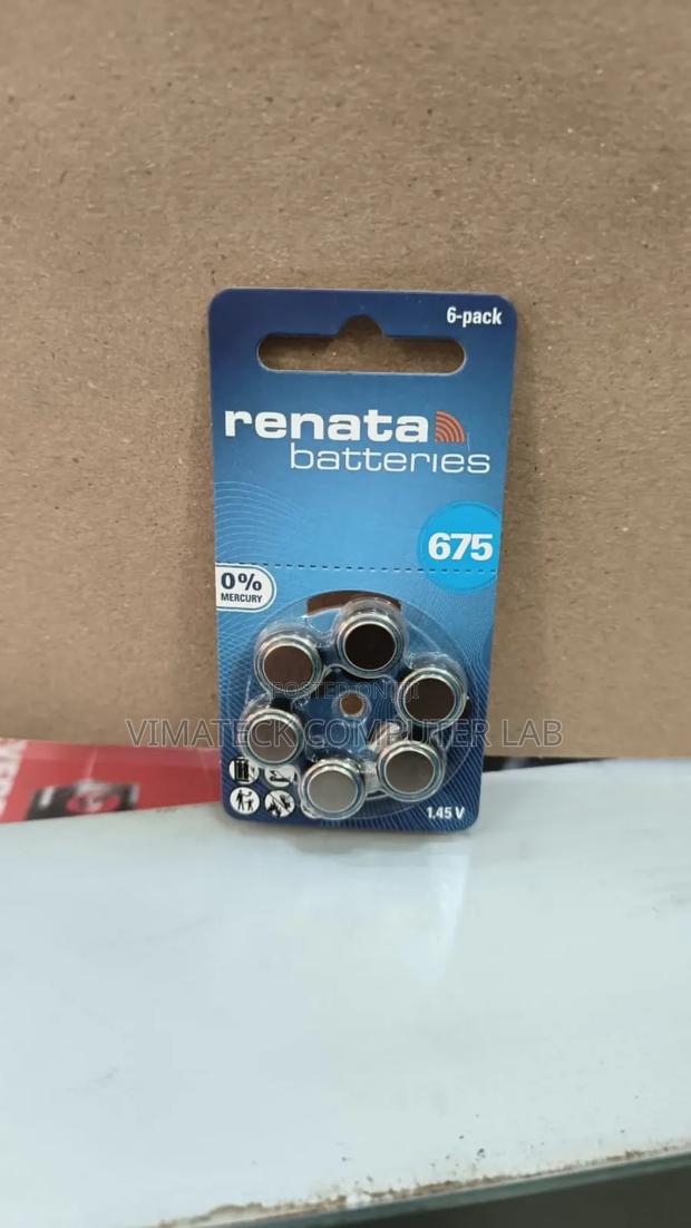 Hearing Aid Renata 675 Batteries - main view