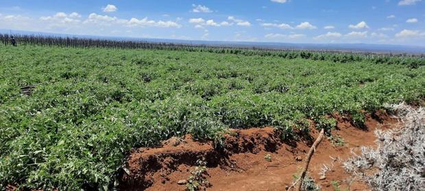 12,000 Acres For Sale - thumbnail 2