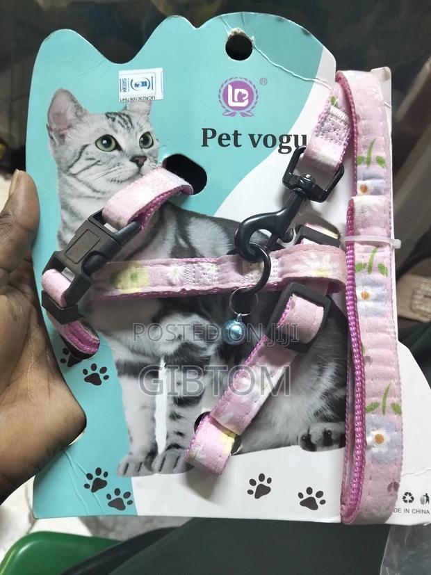 Cat Leash and Harness - main view