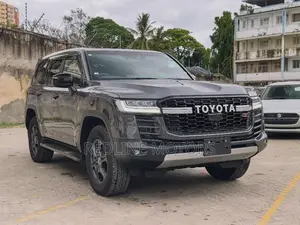 Toyota Land Cruiser LC300 2023 Gray