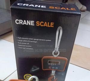 A Digital Crane Scale* - thumbnail 2