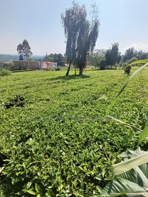 5 Acres for Sale in Nandi Hills