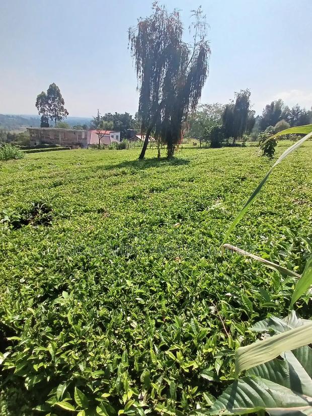 5 Acres for Sale - thumbnail 4