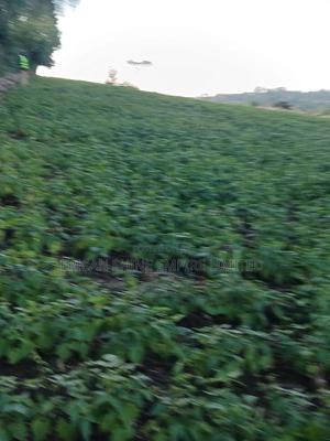 1.5acre Sale - thumbnail 2