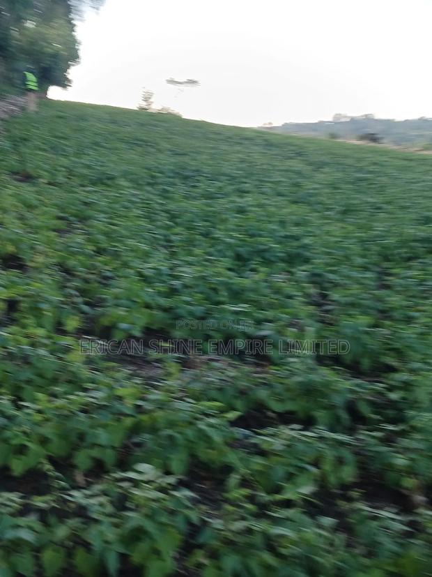 1.5acre Sale - main view