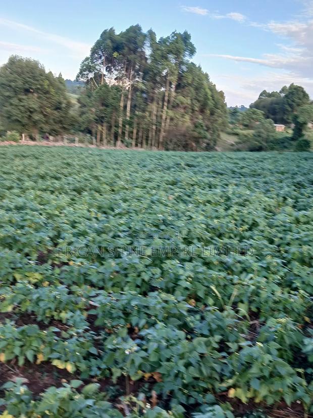 1.5acre Sale - thumbnail 3