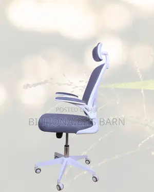 White Ergonomic Mesh Chair | Without the Drama | Breathable