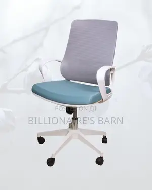 White Mid-Back Mesh Chair | Adjustable for Different Desk Heights |