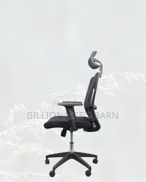 Black Ergonomic Mesh Chair | Adjustable for Different Desk Heights |