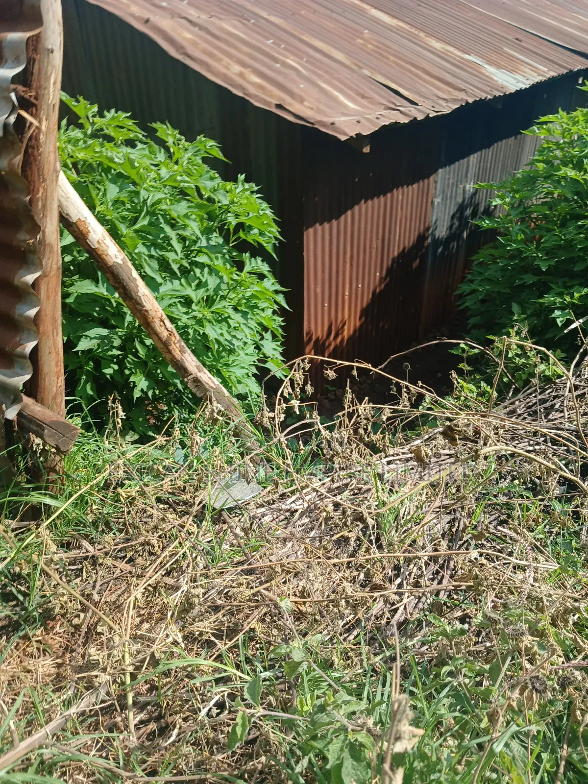 1/4 Land for Sale Wangige