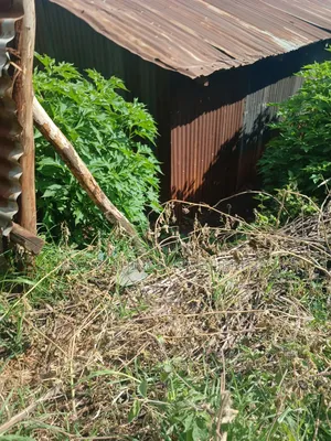 1/4 Land for Sale Wangige