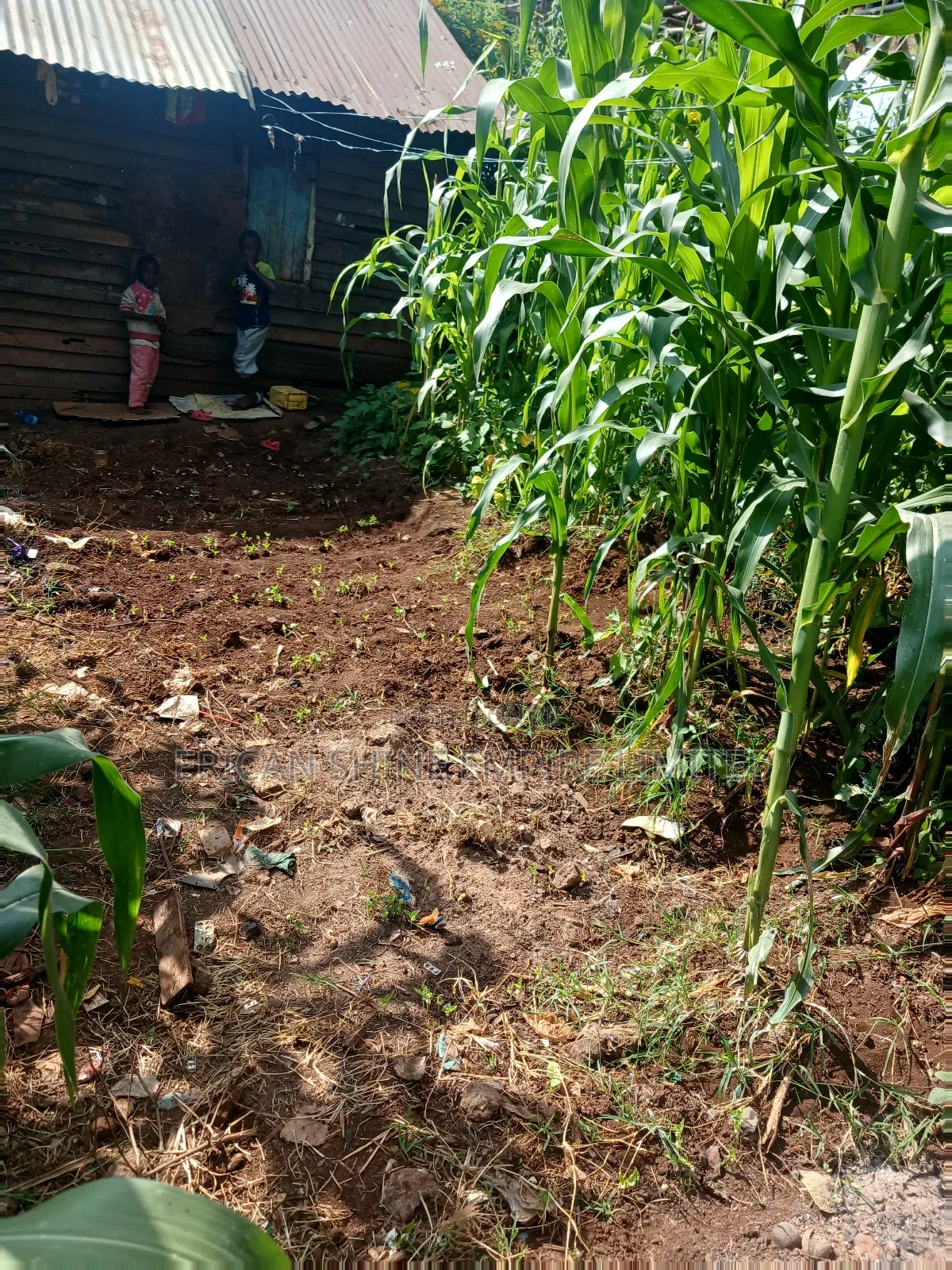 1/4 Land for Sale Wangige