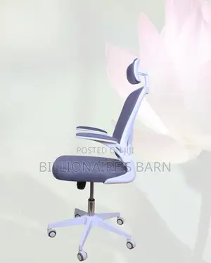 White Ergonomic Mesh Chair | Adjustable for Different Desk Heights |