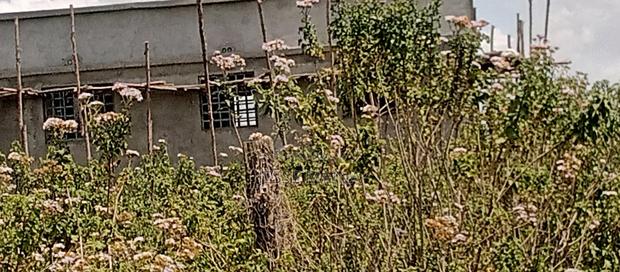 1⁄4 Acre for Sale - thumbnail 3