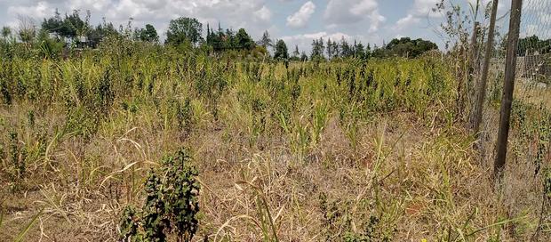 1⁄4 Acre for Sale - thumbnail 5