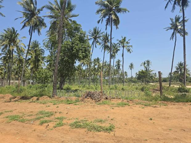 Chumani Kilifi Plots - thumbnail 4