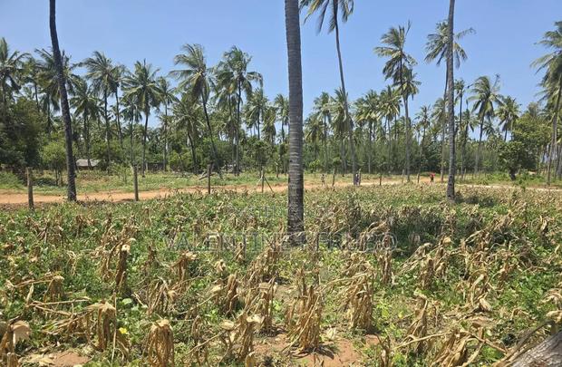 Chumani Kilifi Plots - thumbnail 5