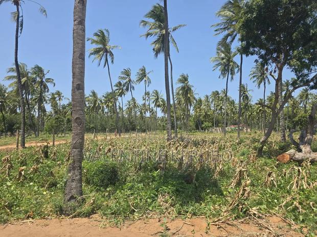 Chumani Kilifi Plots - thumbnail 6