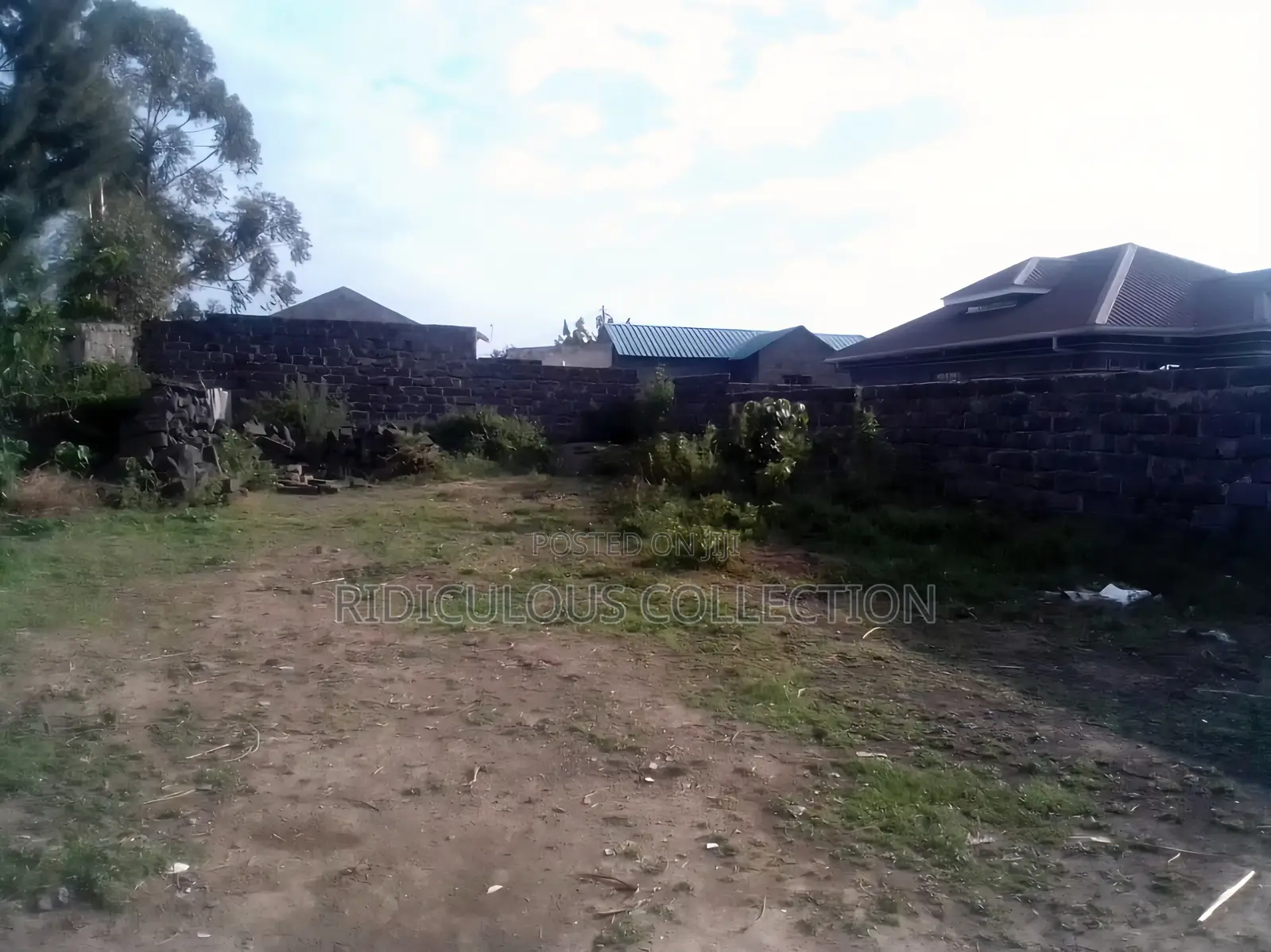 Mzee Wanyama Plot for Sale