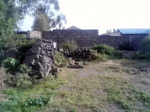 Mzee Wanyama Plot for Sale