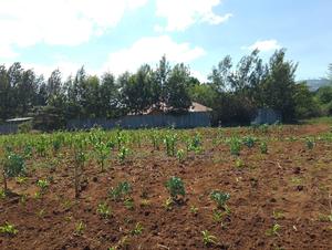 1 Acre Ngong -Kibiku - thumbnail 2