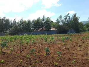 1 Acre Ngong -Kibiku