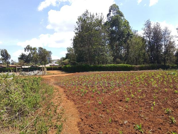 1 Acre Ngong -Kibiku - thumbnail 4