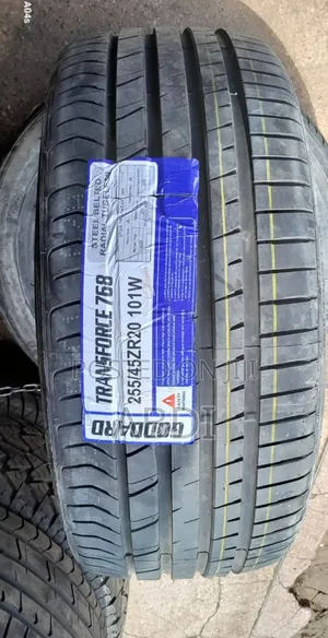 255/45r20 Goddard