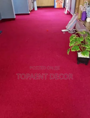 Affordable Comfort For Every Space With Delta 4mm Wall To Wall Carpet