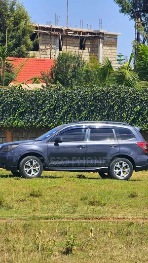 Subaru Forester 2013 Gray