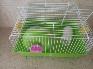 Hamster Cage - thumbnail 2